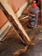 edencottages - 5559.jpg